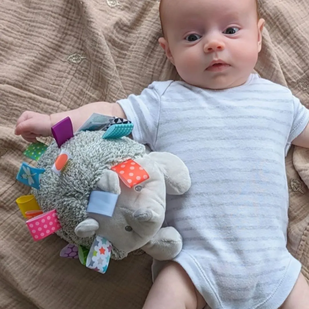 New Baby Sweet Sensory Hedgehog & Bear Baby Gifts Hamper